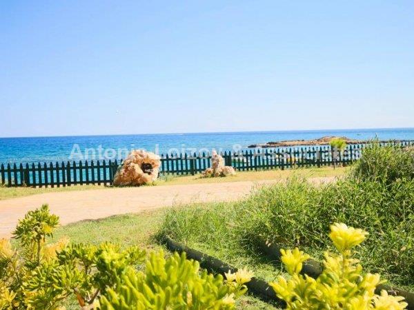 A two Bedroom Beach Front Luxury Apartment in Protaras properties for sale in cyprus