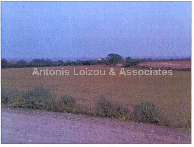Field in Larnaca (Agios Theodoros) for sale
