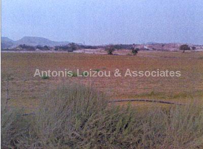Land in Larnaca (Agios Theodoros) for sale