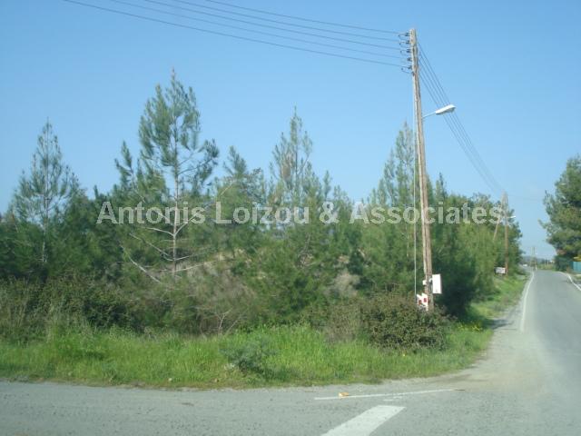 Field in Larnaca (Anglisides) for sale