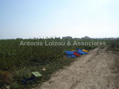 Land in Larnaca (Kiti) for sale