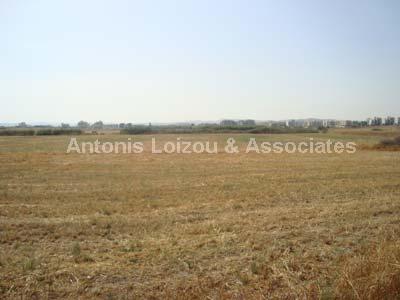 Land in Larnaca (Livadia) for sale
