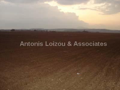 Field in Larnaca (Maroni) for sale