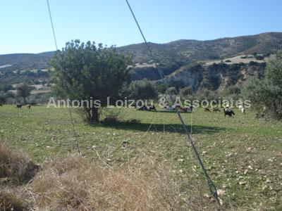 Land in Larnaca (Skarinou) for sale