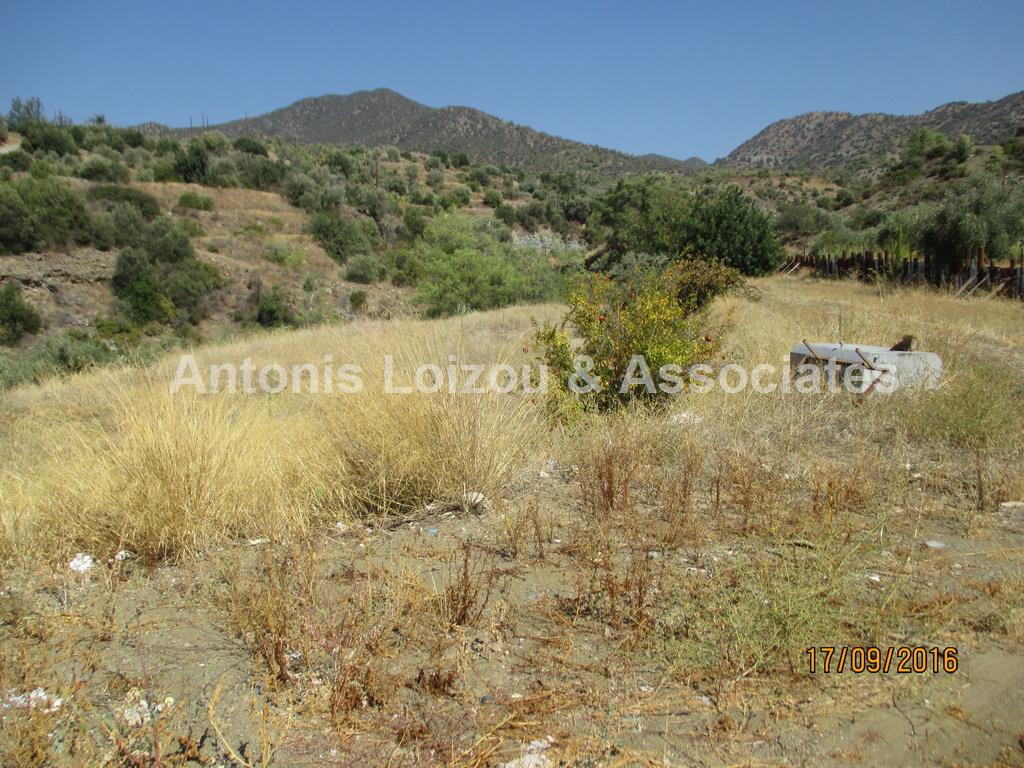 Field in Limassol (Akrounta) for sale