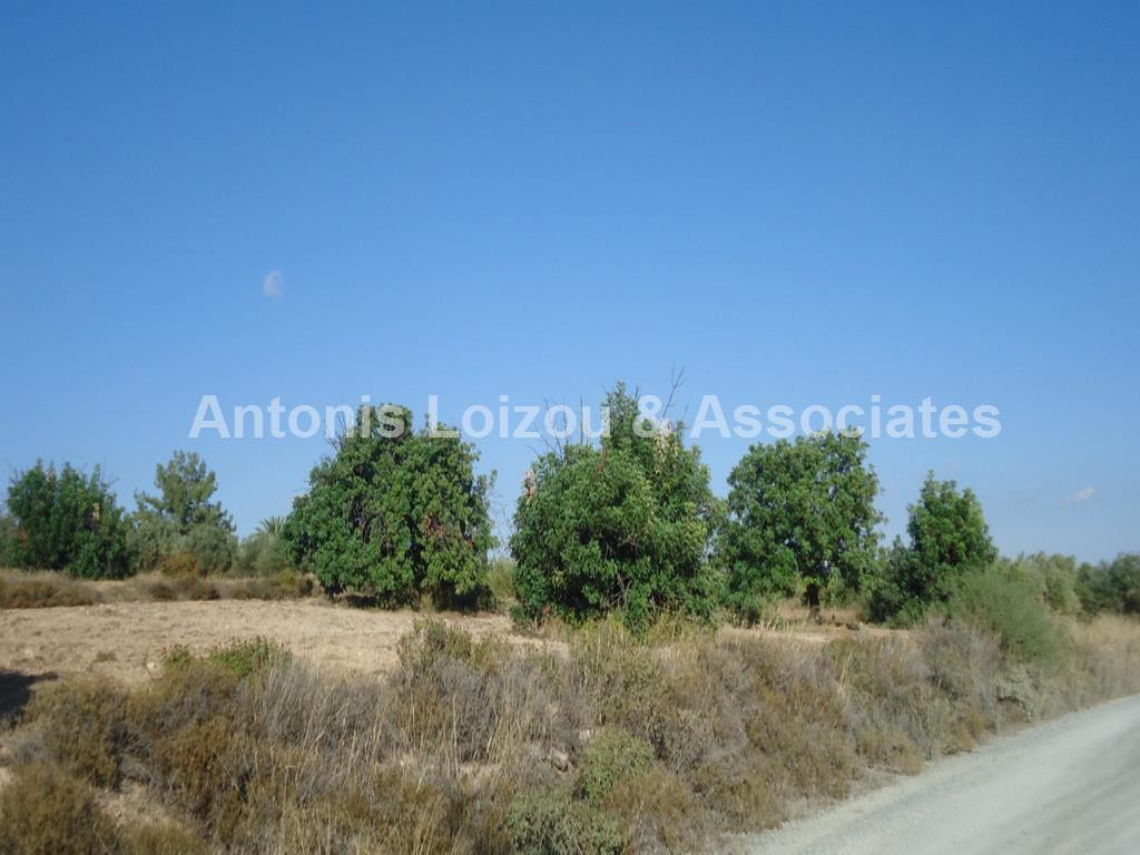 Land in Limassol (Kivides) for sale