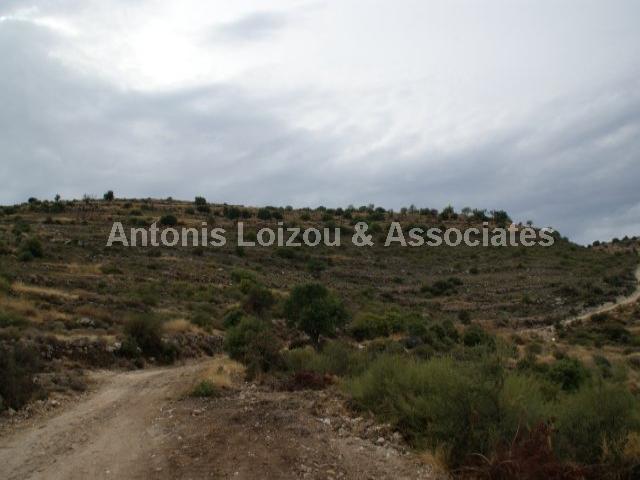 Field in Limassol (Pachna) for sale