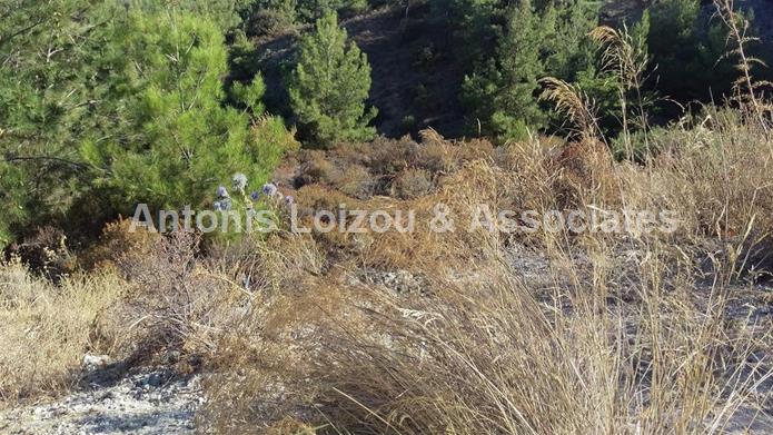 Field in Limassol (Platres) for sale