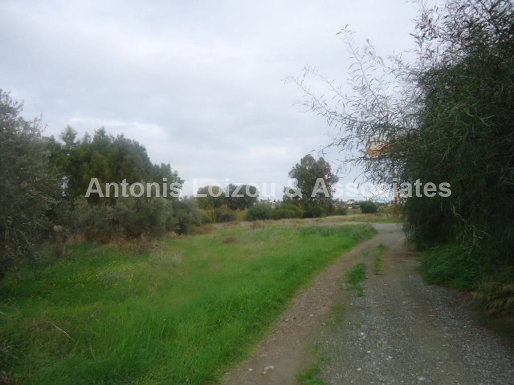 Residential/Commercial Plot properties for sale in cyprus
