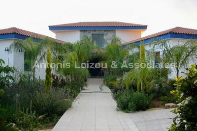 Detached Villa in Limassol (Ypsonas) for sale
