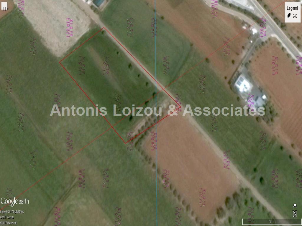 Field in Nicosia (Astromeritis) for sale