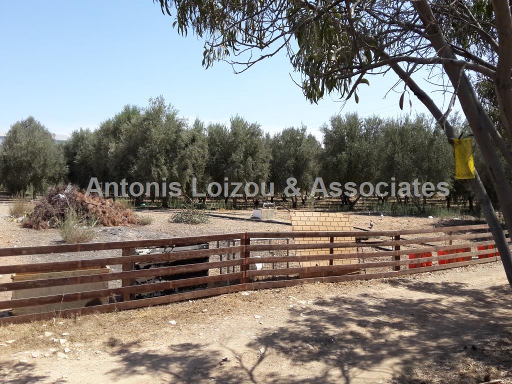 Field in Nicosia (Deftera) for sale