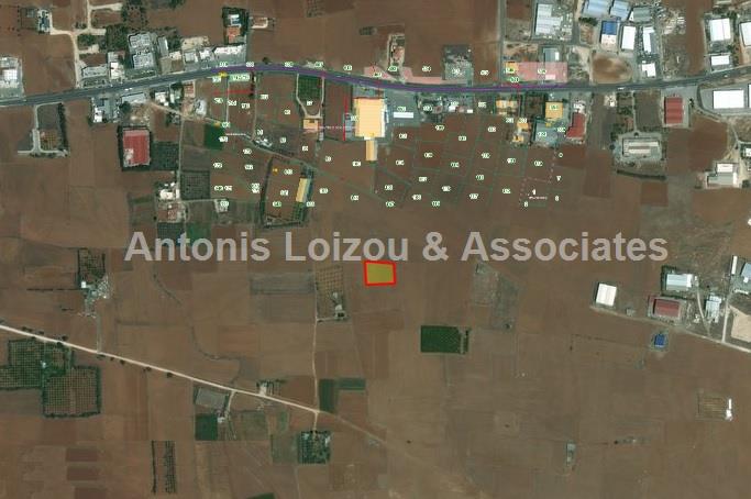 Field in Nicosia (Kokkinotrimithia) for sale