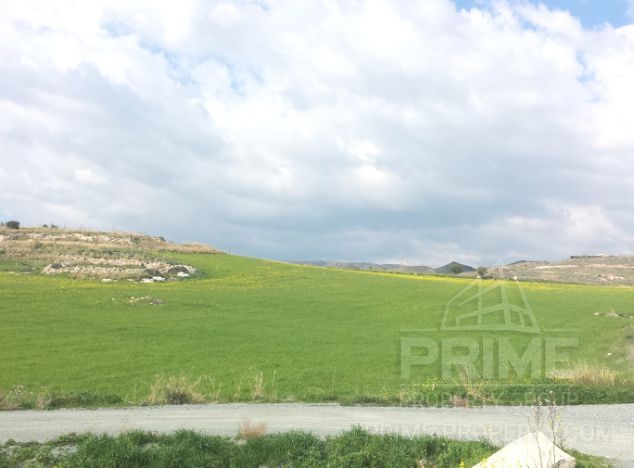 Land in Paphos (Anarita) for sale