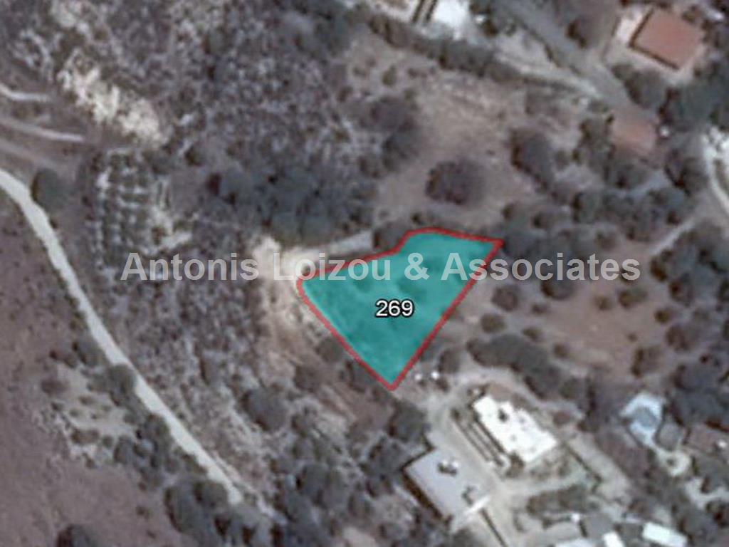 Field in Paphos (Armou) for sale