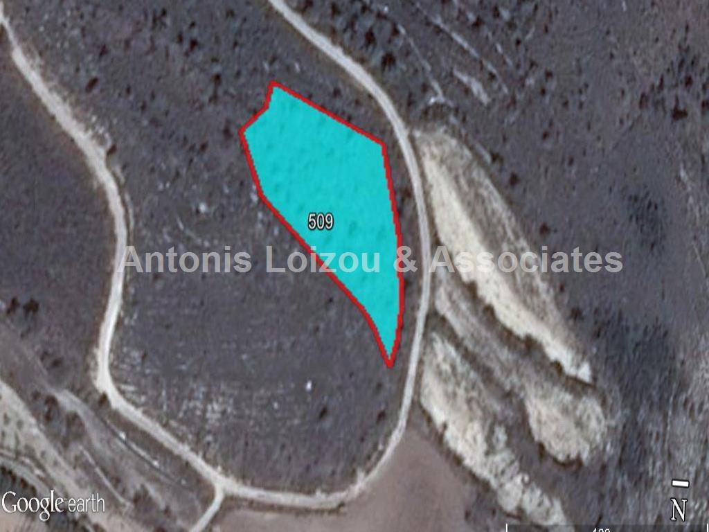 Field in Paphos (Armou) for sale