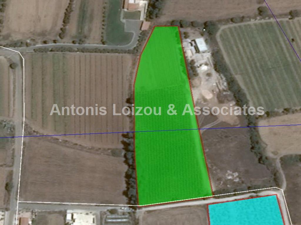 Field in Paphos (Chlorakas) for sale