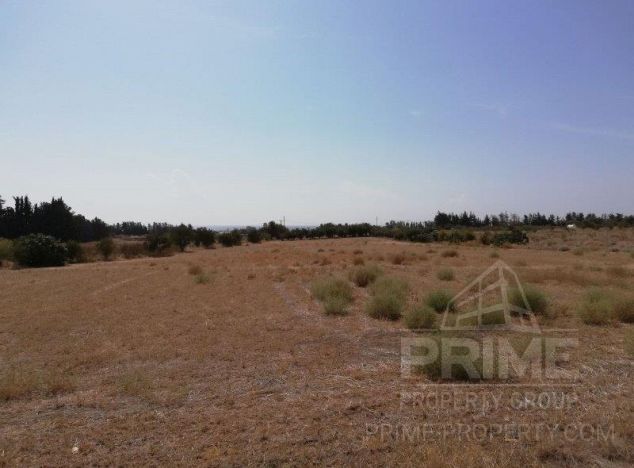 Land in Paphos (Emba) for sale