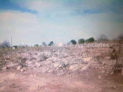 Large Plot of Land in Village properties for sale in cyprus