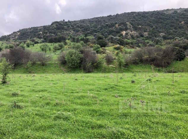 Land in Paphos (Kelokedara) for sale