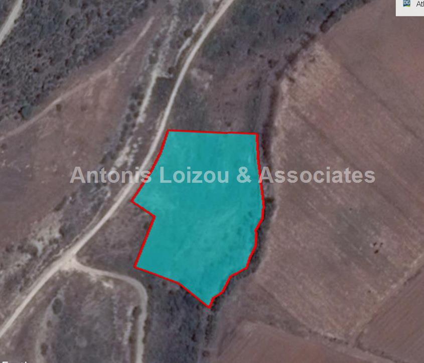 7,693 m² Residential field in KOUKLIA properties for sale in cyprus