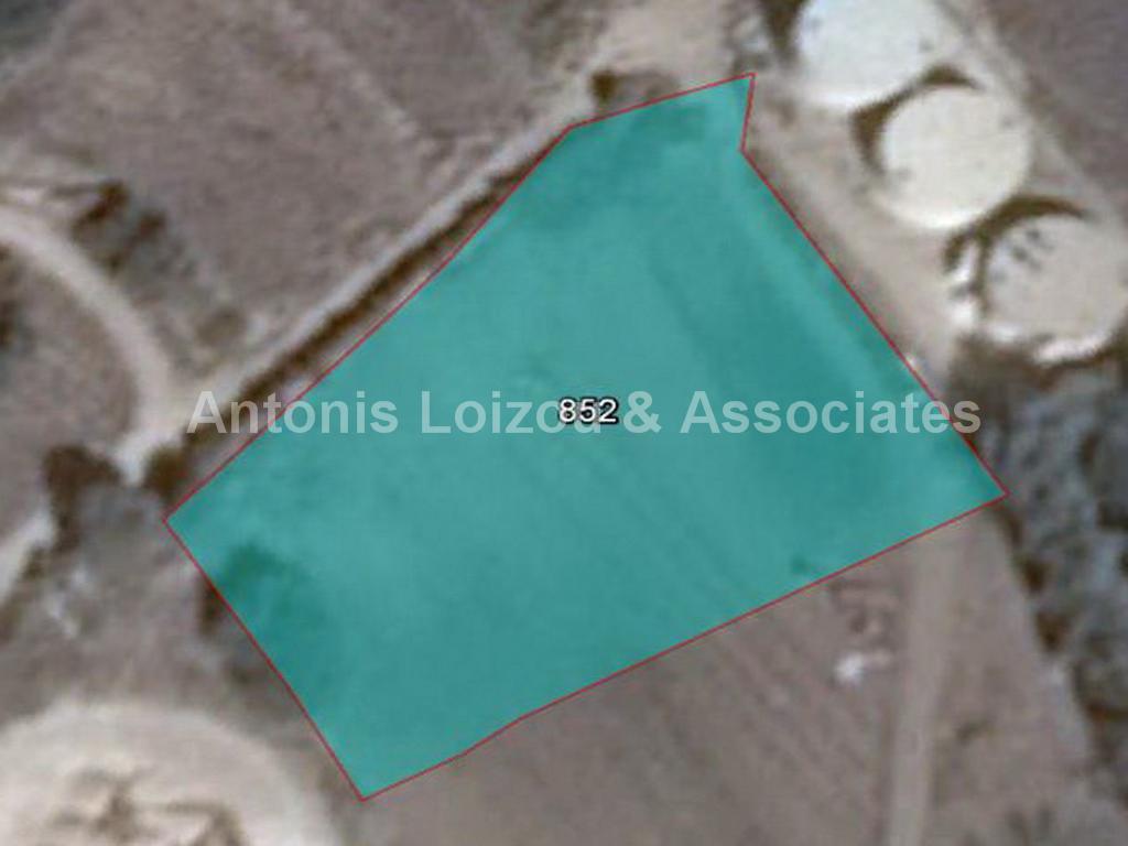 Field in Paphos (Mesa Chorio) for sale