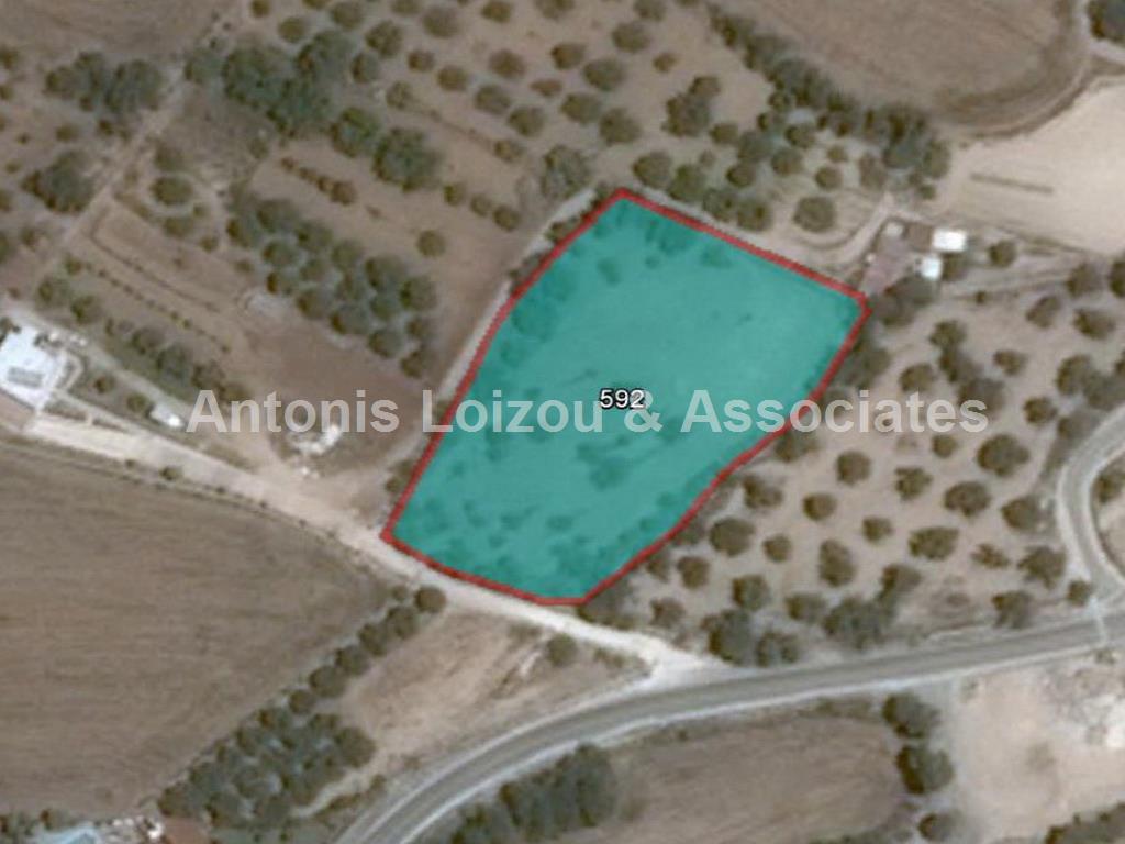 Field in Paphos (Mesa Chorio) for sale