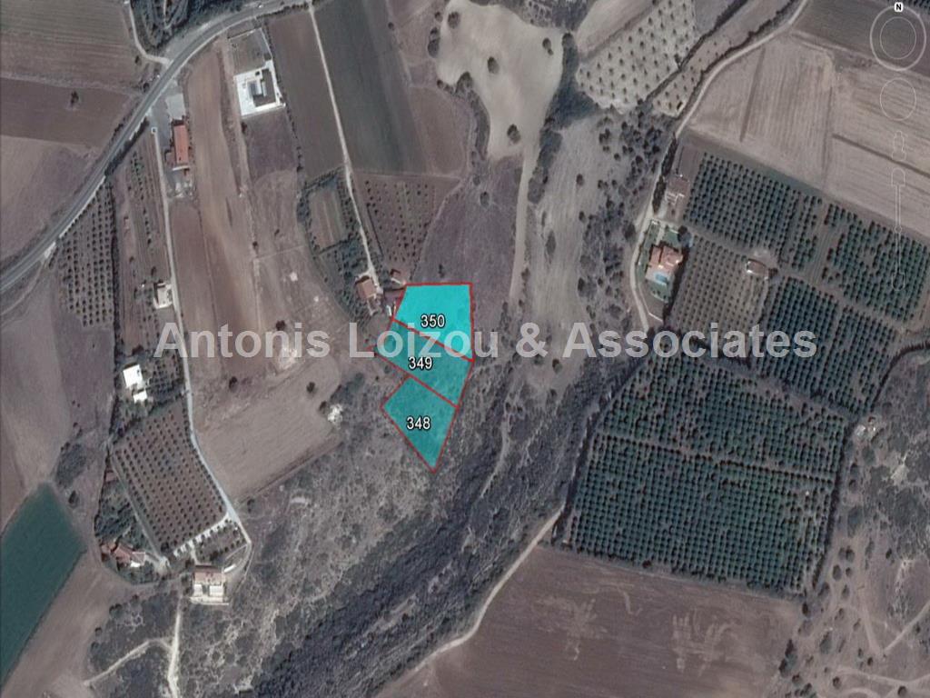 Field in Paphos (Nikoklia) for sale