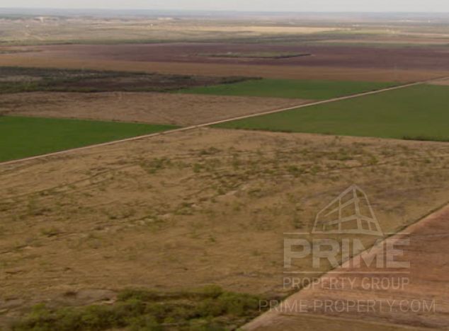 Land in Paphos (Timi) for sale