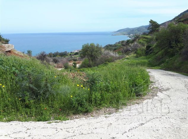 Land in  (Pomos) for sale