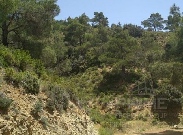 Sale of land in area: Kakopetria - properties for sale in cyprus