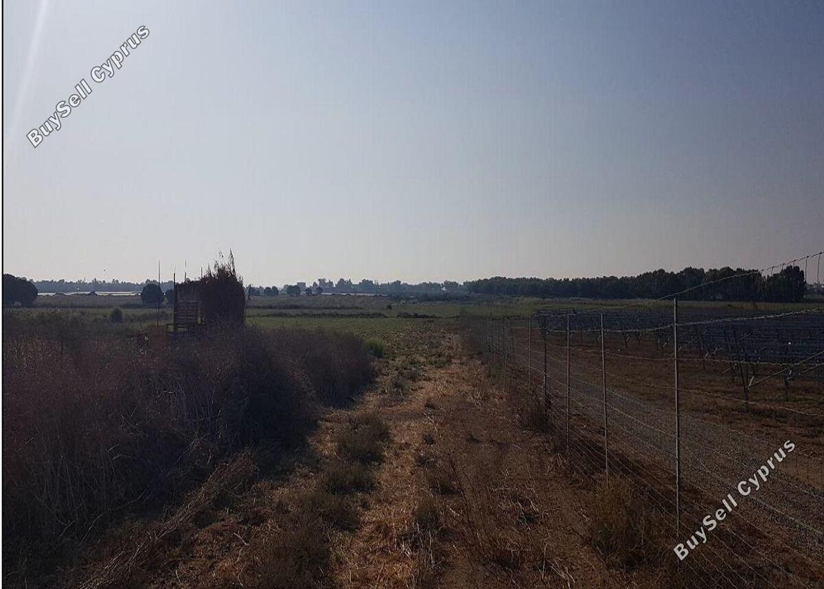 Land in Larnaca (836211) for sale