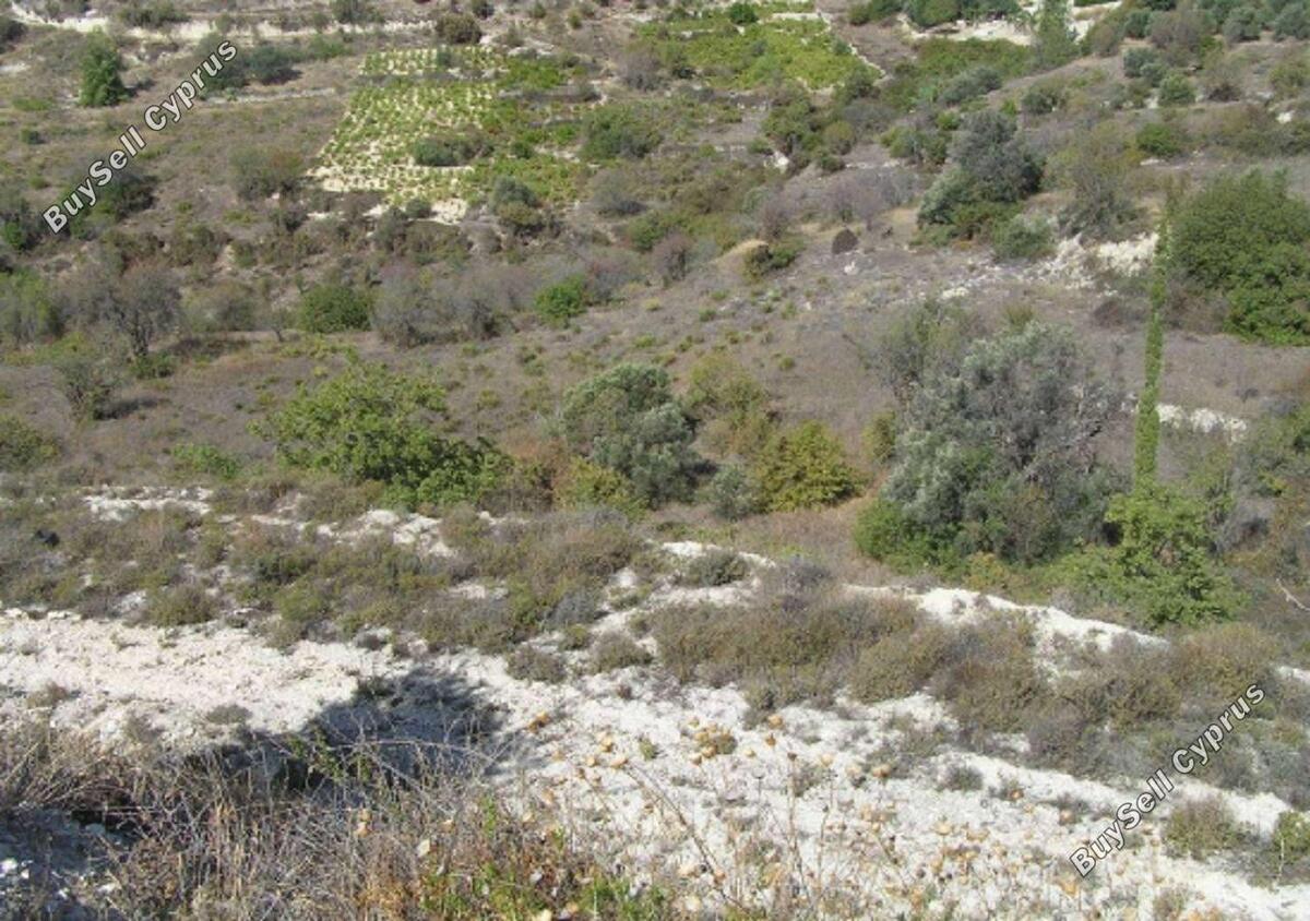 Land in Limassol (836247) for sale