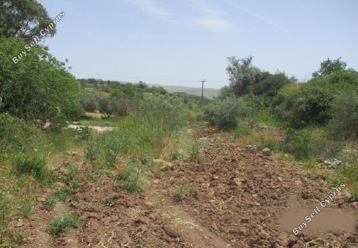 Land in Paphos (836285) for sale