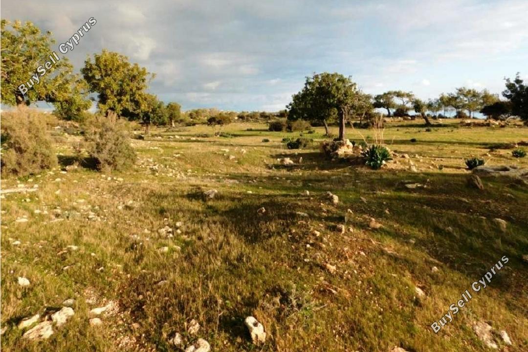 Land in Limassol (836290) for sale