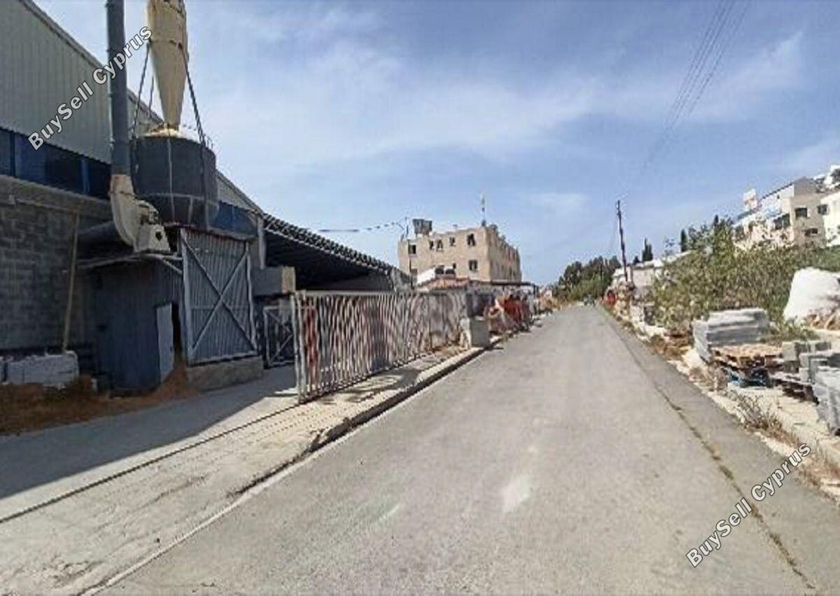 Commercial in Paphos (836322) for sale