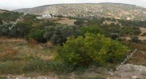 Land in Paphos (836323) for sale
