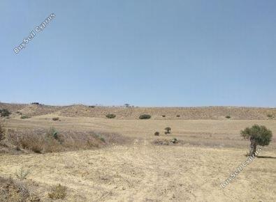Land in Nicosia (836359) for sale