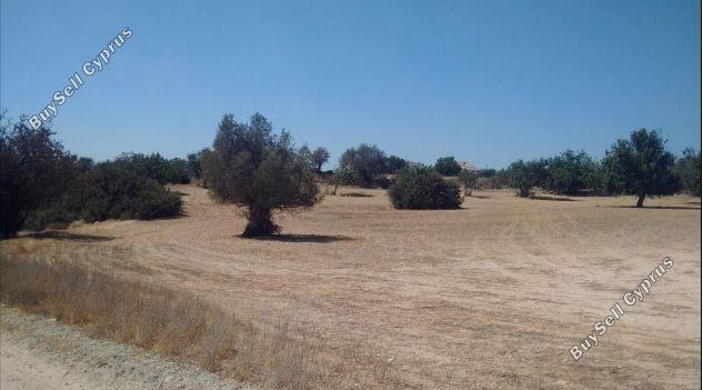 Land in Larnaca (836367) for sale