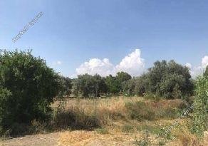 Land in Nicosia (836378) for sale