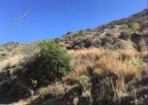 Land in Larnaca (836384) for sale