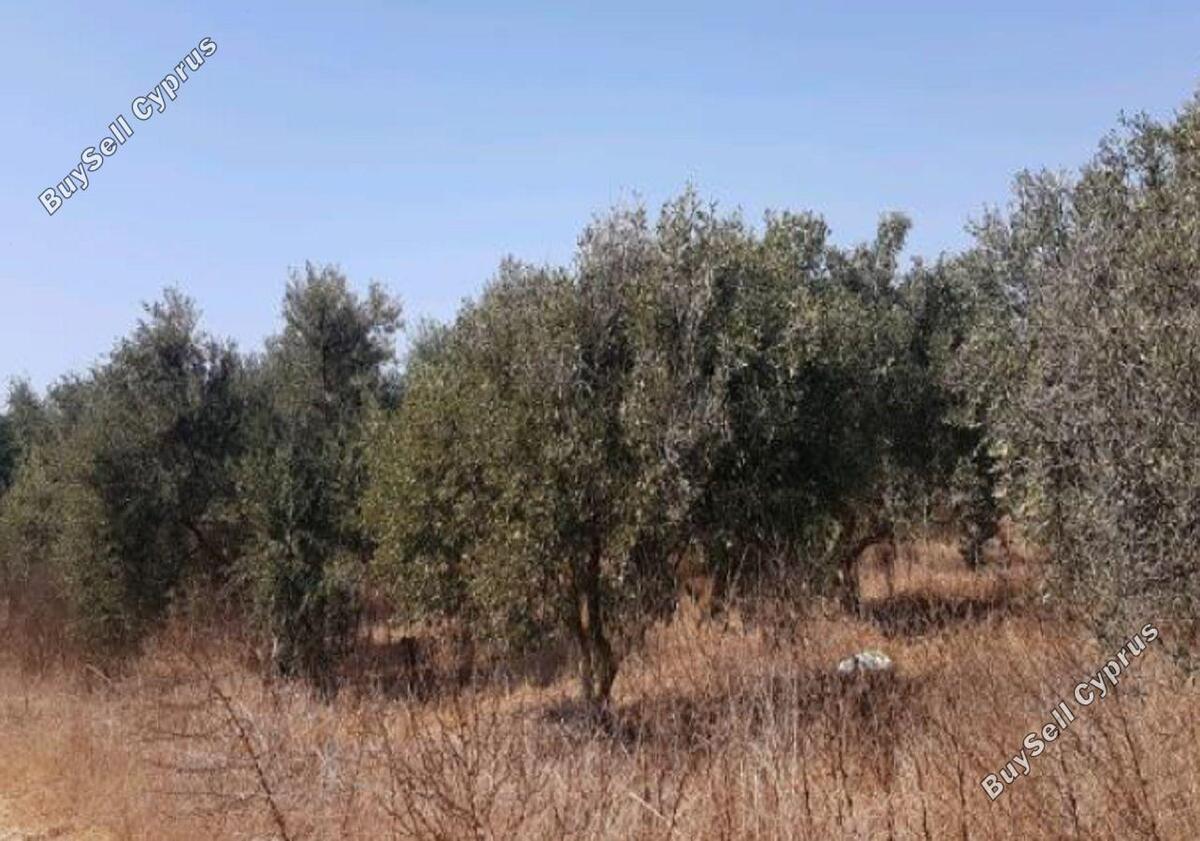 Land in Larnaca (836418) for sale