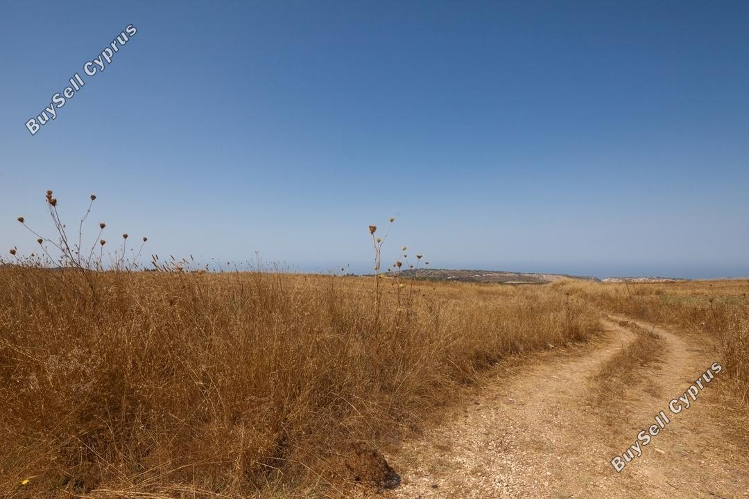 Land in Paphos (836493) for sale