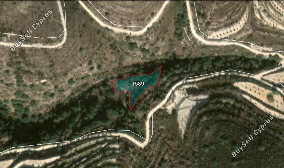 Land in Paphos (836615) for sale