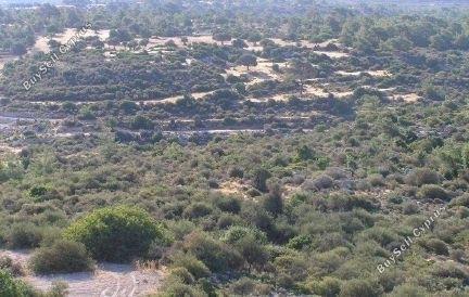 Land in Limassol (836700) for sale