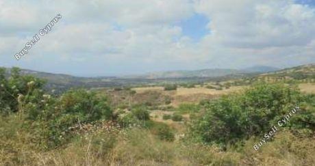 Land in Paphos (836702) for sale