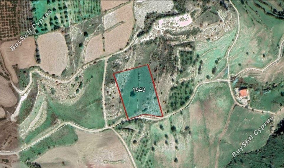 Land in Paphos (836830) for sale