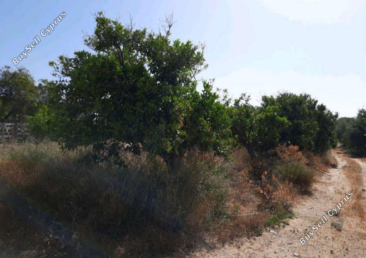 Land in Larnaca (836859) for sale