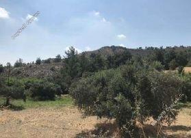 Land in Nicosia (836868) for sale