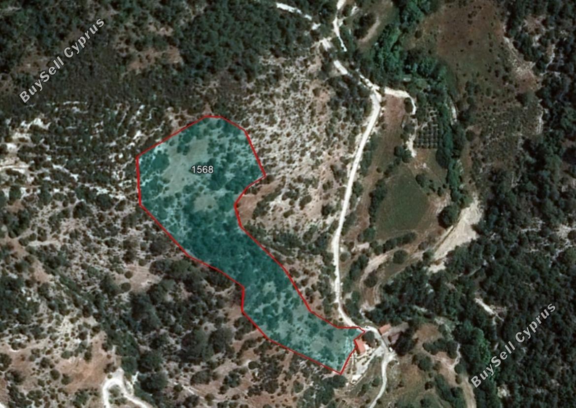 Land in Paphos (836915) for sale
